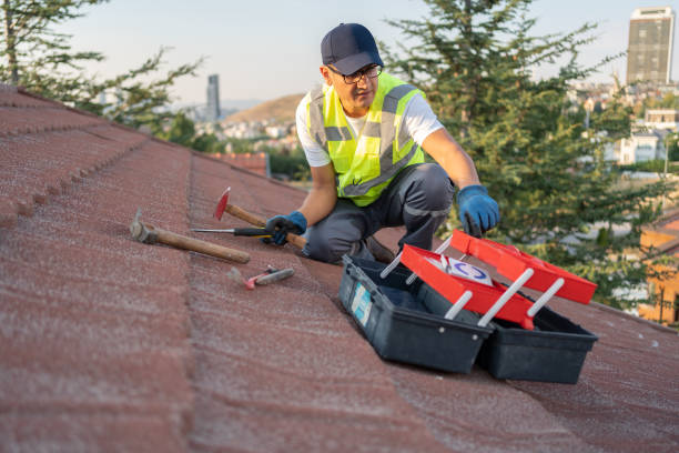 Best Attic Cleanout  in Lakewood, IL